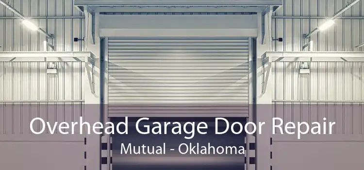 Overhead Garage Door Repair Mutual - Oklahoma