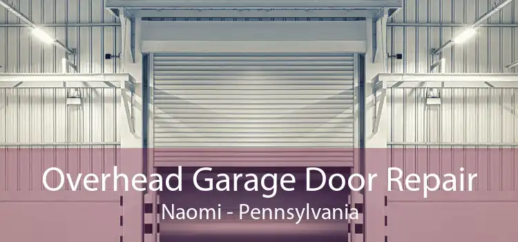 Overhead Garage Door Repair Naomi - Pennsylvania