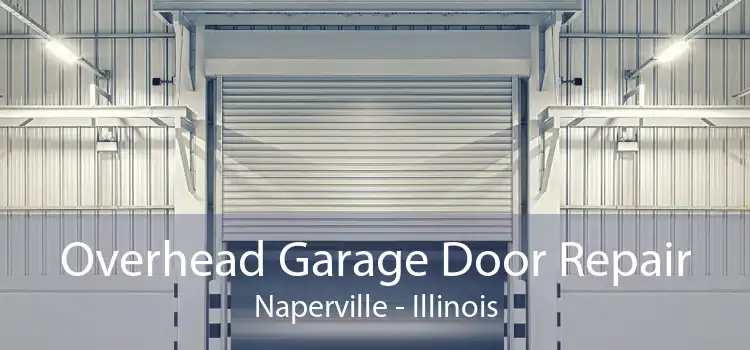 Overhead Garage Door Repair Naperville - Illinois