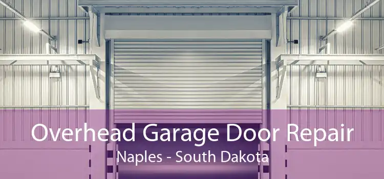 Overhead Garage Door Repair Naples - South Dakota