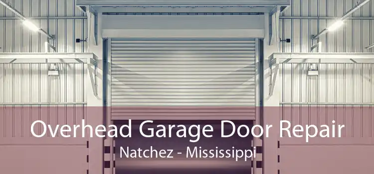 Overhead Garage Door Repair Natchez - Mississippi