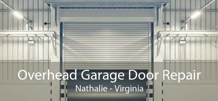 Overhead Garage Door Repair Nathalie - Virginia