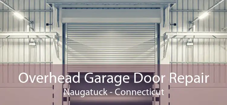 Overhead Garage Door Repair Naugatuck - Connecticut