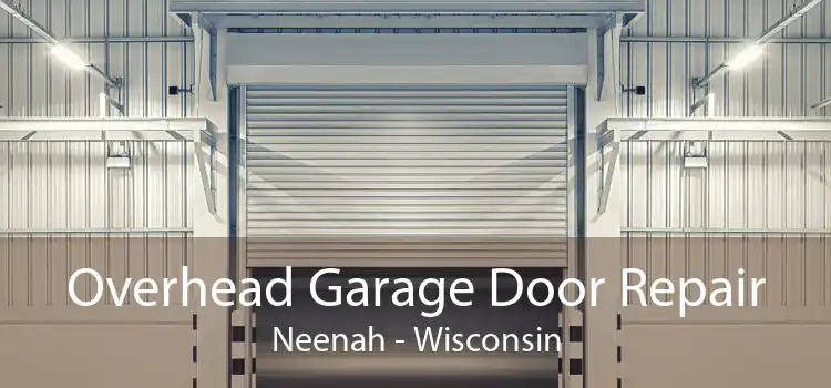 Overhead Garage Door Repair Neenah - Wisconsin