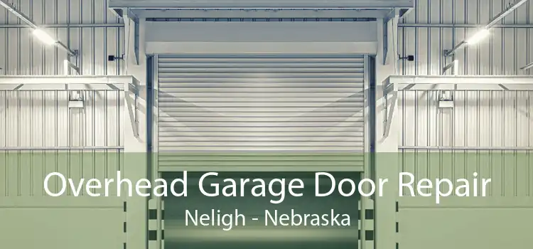 Overhead Garage Door Repair Neligh - Nebraska