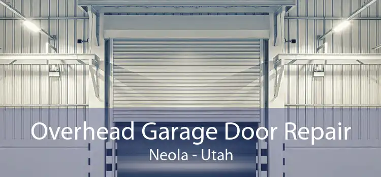 Overhead Garage Door Repair Neola - Utah