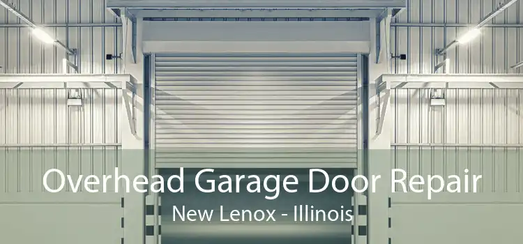 Overhead Garage Door Repair New Lenox - Illinois