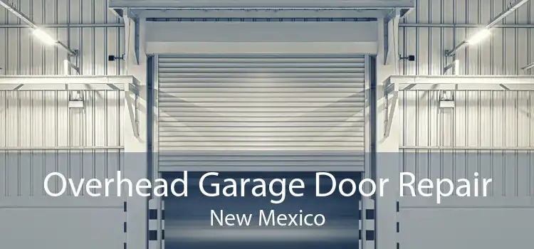 Overhead Garage Door Repair New Mexico