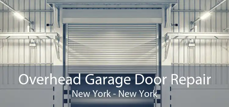 Overhead Garage Door Repair New York - New York