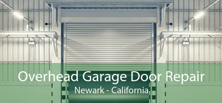 Overhead Garage Door Repair Newark - California