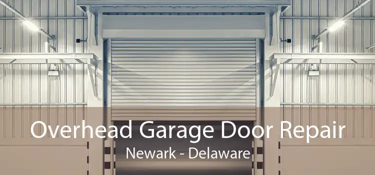 Overhead Garage Door Repair Newark - Delaware