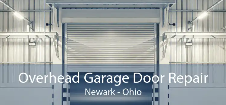Overhead Garage Door Repair Newark - Ohio