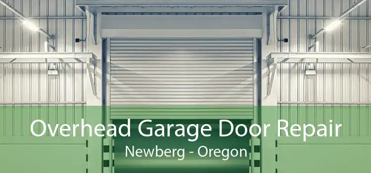 Overhead Garage Door Repair Newberg - Oregon