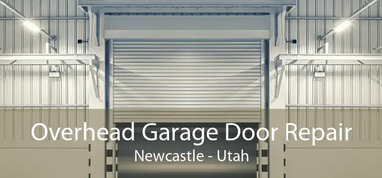 Overhead Garage Door Repair Newcastle - Utah