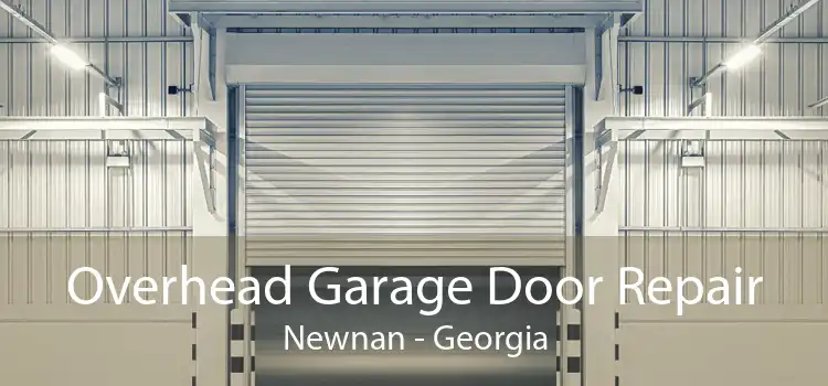 Overhead Garage Door Repair Newnan - Georgia