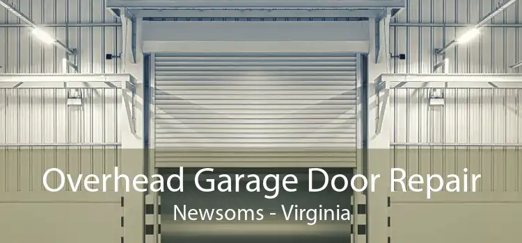 Overhead Garage Door Repair Newsoms - Virginia