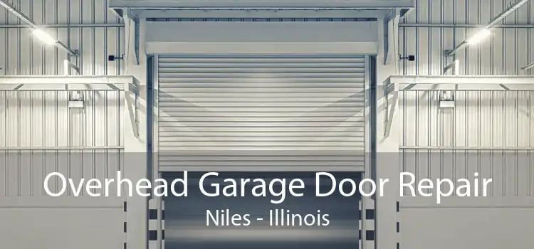 Overhead Garage Door Repair Niles - Illinois