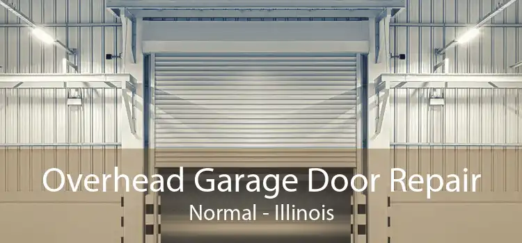 Overhead Garage Door Repair Normal - Illinois