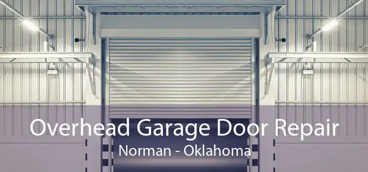 Overhead Garage Door Repair Norman - Oklahoma