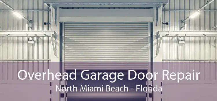 Overhead Garage Door Repair North Miami Beach - Florida