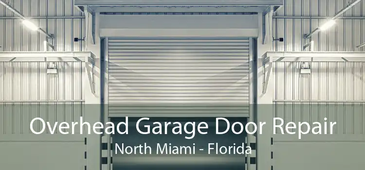 Overhead Garage Door Repair North Miami - Florida