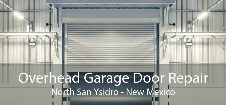 Overhead Garage Door Repair North San Ysidro - New Mexico