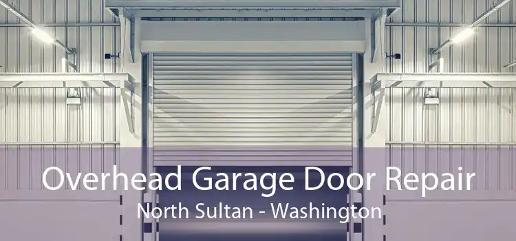 Overhead Garage Door Repair North Sultan - Washington