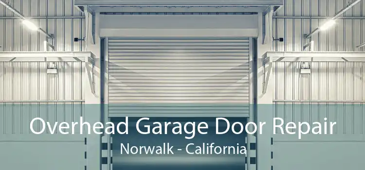 Overhead Garage Door Repair Norwalk - California