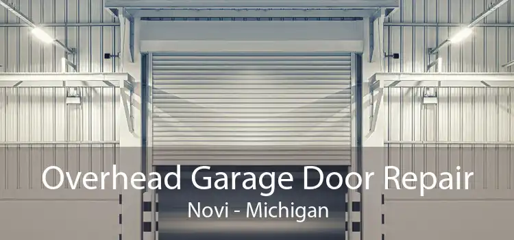 Overhead Garage Door Repair Novi - Michigan