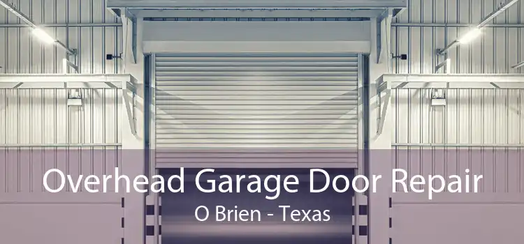 Overhead Garage Door Repair O Brien - Texas