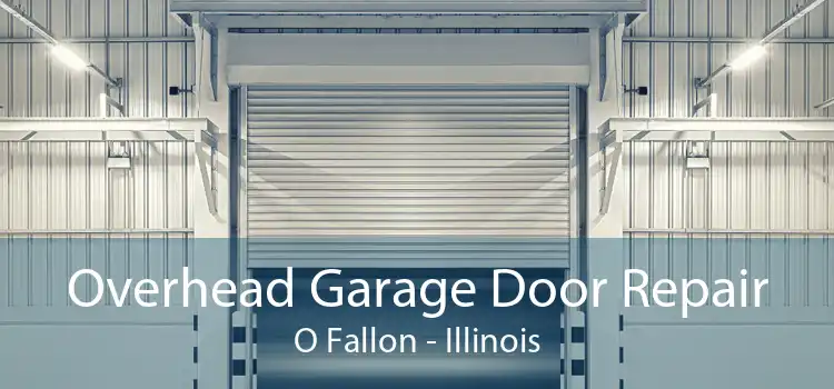 Overhead Garage Door Repair O Fallon - Illinois