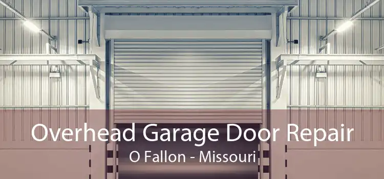 Overhead Garage Door Repair O Fallon - Missouri