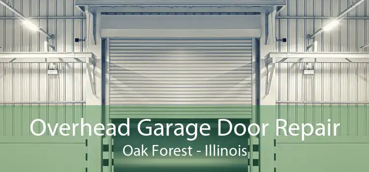 Overhead Garage Door Repair Oak Forest - Illinois