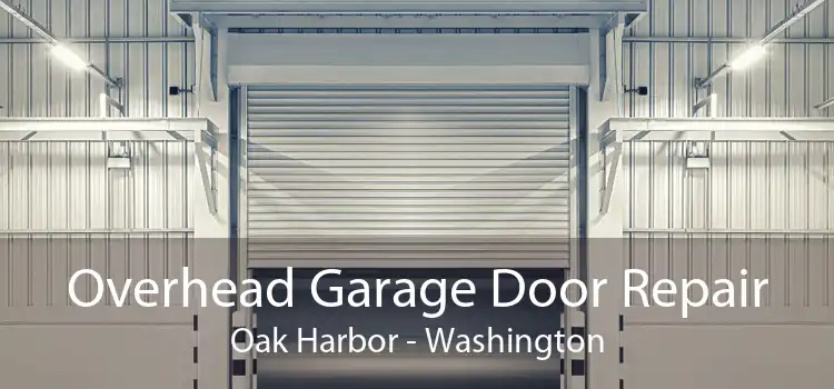 Overhead Garage Door Repair Oak Harbor - Washington