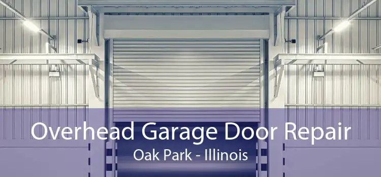 Overhead Garage Door Repair Oak Park - Illinois