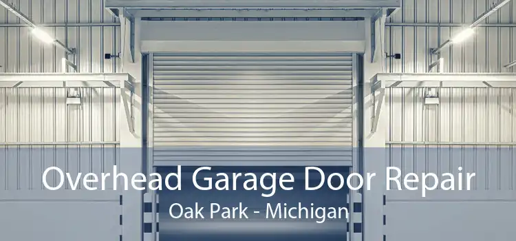 Overhead Garage Door Repair Oak Park - Michigan