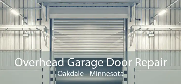 Overhead Garage Door Repair Oakdale - Minnesota
