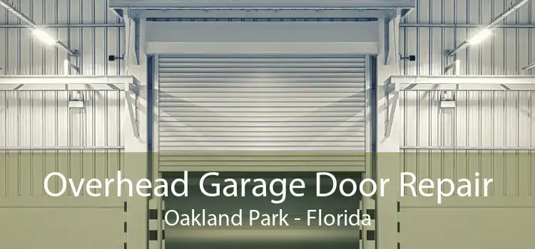 Overhead Garage Door Repair Oakland Park - Florida