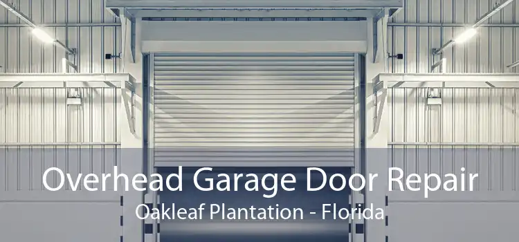 Overhead Garage Door Repair Oakleaf Plantation - Florida