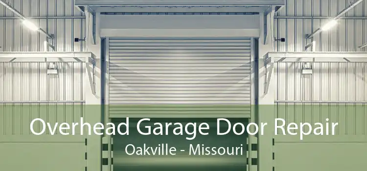 Overhead Garage Door Repair Oakville - Missouri