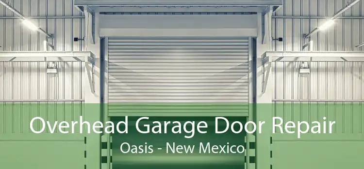 Overhead Garage Door Repair Oasis - New Mexico