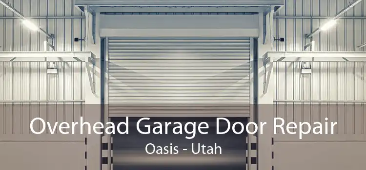 Overhead Garage Door Repair Oasis - Utah