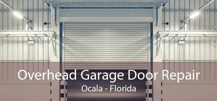 Overhead Garage Door Repair Ocala - Florida