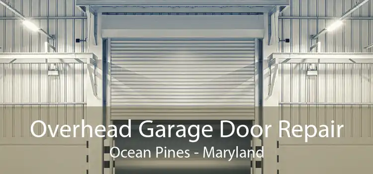 Overhead Garage Door Repair Ocean Pines - Maryland