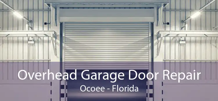 Overhead Garage Door Repair Ocoee - Florida
