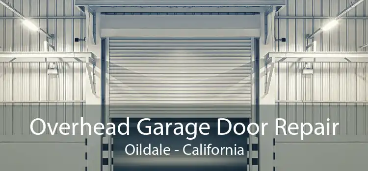 Overhead Garage Door Repair Oildale - California