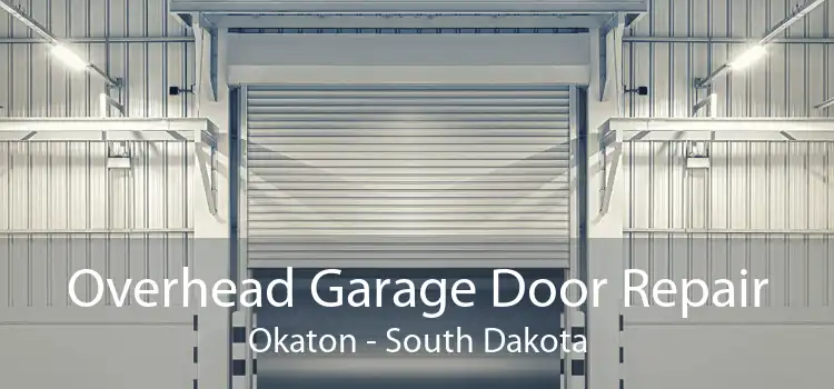 Overhead Garage Door Repair Okaton - South Dakota