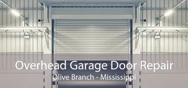 Overhead Garage Door Repair Olive Branch - Mississippi