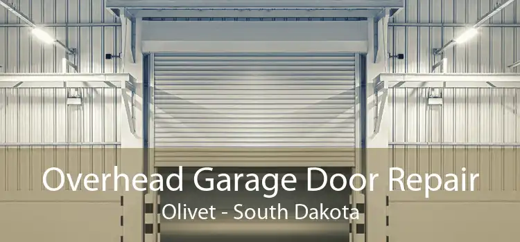 Overhead Garage Door Repair Olivet - South Dakota