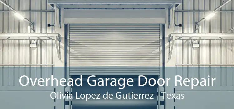 Overhead Garage Door Repair Olivia Lopez de Gutierrez - Texas